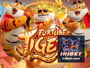 Guia install APK IRIBET BR