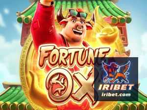 IRIBET login — painel de entrada no app oficial